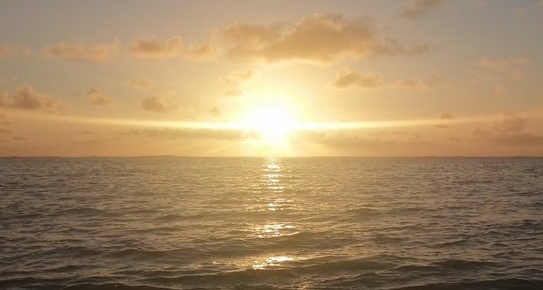 Shine, thrive, be the light