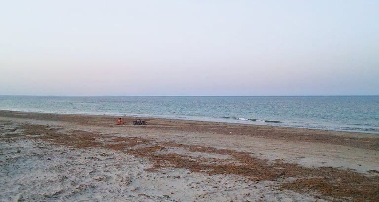 Playa de la Llana, one of the few "virgin" beaches remaining on the Spanish Mediterranean coast.