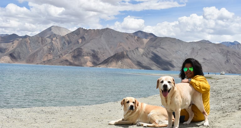 Dog Boarding, Dog Boarding near me, Pet Boarding, Pet Boarding near me, Dog Care, Happy Pettings