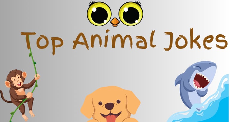 top 30 best animal jokes
