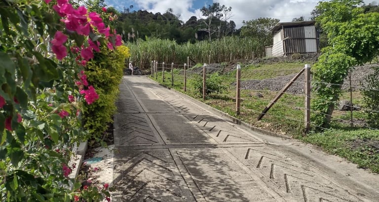 Via pavimentada frente a lote campestre que se ofrecio por inmobiliaria campo real