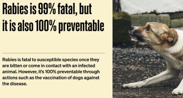 ☠️ Why Rabies Is Always Deadly But 100% Preventable  