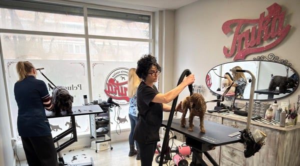 curso de peluqueria canina practico en madrid