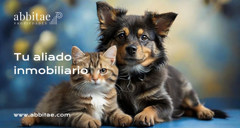 Un perro y un gato están sentados sobre un fondo azul.