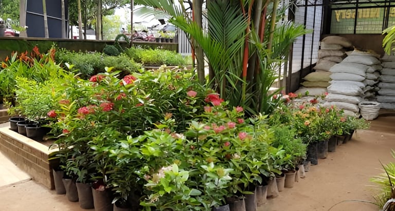 lawn grass suppliers Rajahmundry