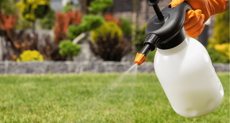 Professional lawn spraying service applying chemical treatments to healthy turf grass