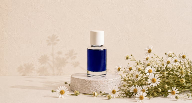 German chamomile flowers beside deep blue German chamomile essential oil