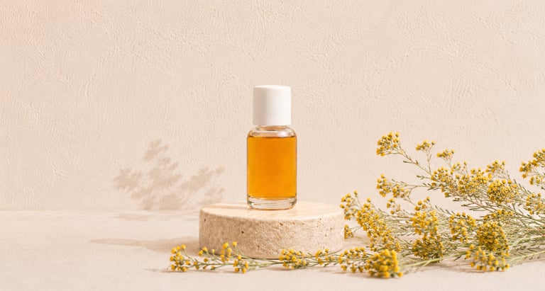 Yellow immortelle flowers beside golden immortelle essential oil
