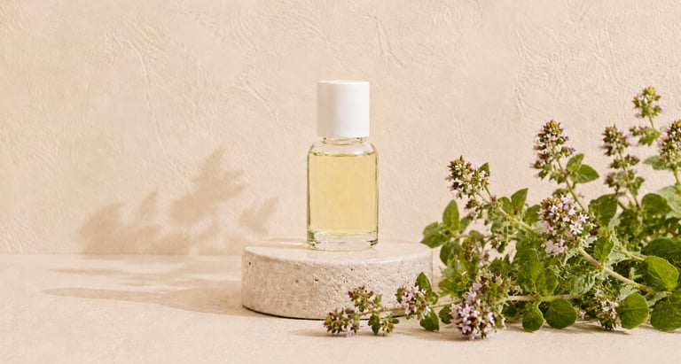 Oregano essential oil with fresh Origanum vulgare leaves and flowering stems