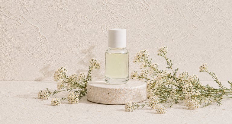 Achillea millefolium flowers beside green yarrow essential oil