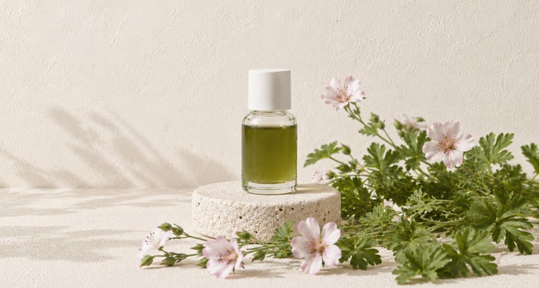 Geranium macrorrhizum leaves and flowers beside Zdravetz essential oil