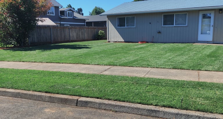 Sod Lawn Installation Services in Portland, Lake Oswego, West Linn, Oregon