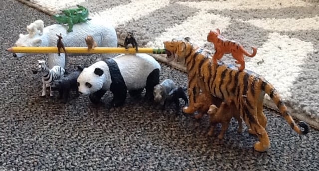 animal toys on a carpet