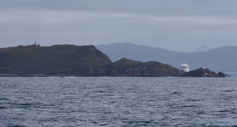 The Viking Ship passengers get to explore Cape Horn, Chile
