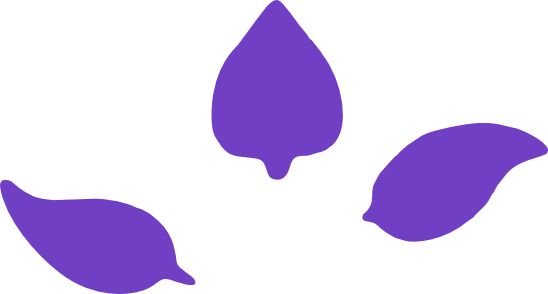 ornamentos, folhas derivadas da logo Druida Caipira