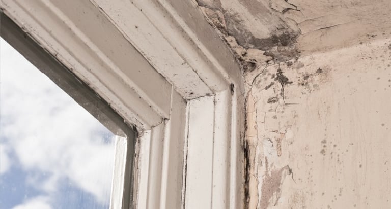 Damage caused by water leak