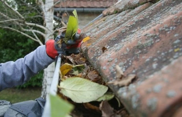 nettoyage gouttière Lyon