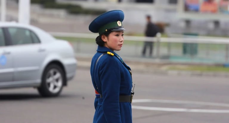 Traffic lady | © Cookingwiththehamster