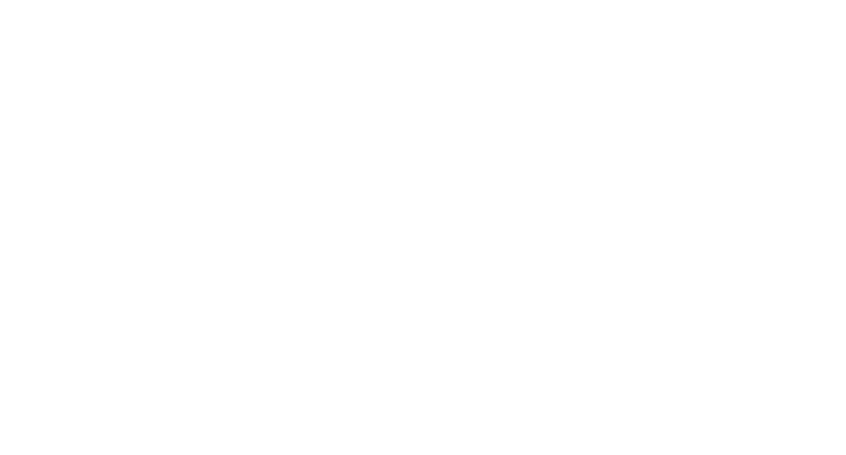 WayFinderX LLC logo