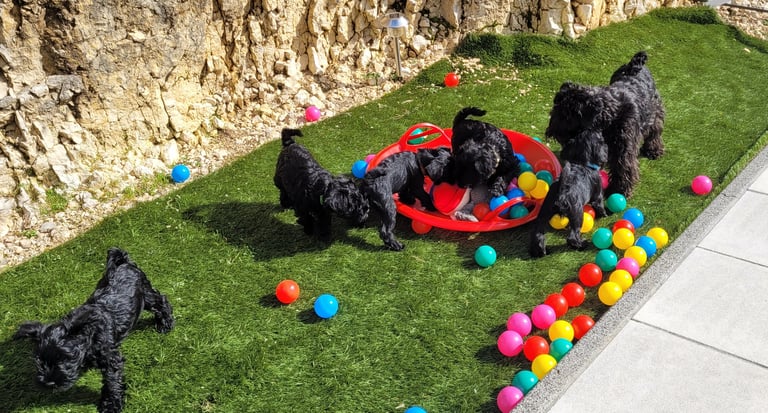 Trudi et ses bébés