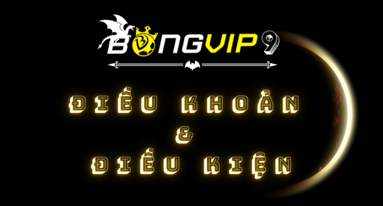 dieukhoanvadieukien-bongvip