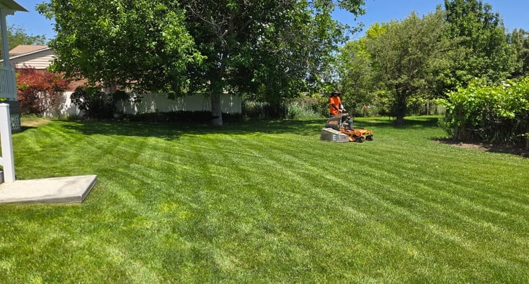 Lawn Maintenance company