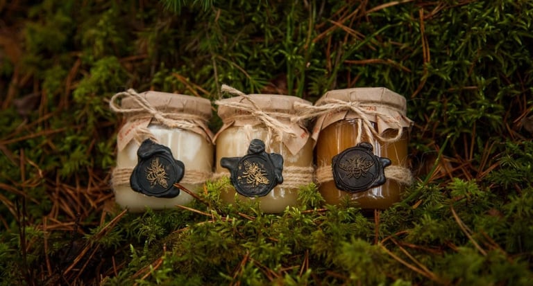 3 metų laikai. Medaus degustacija. Medaus rinkinys. Medaus dovana.  Degustacinis rinkinys