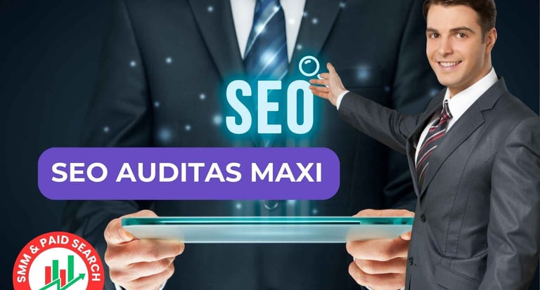 SEO auditas MAXI