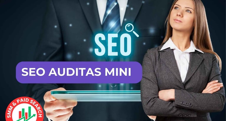 SEO auditas MINI
