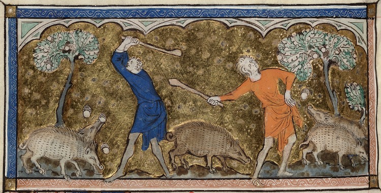 Medieval pigs causing havoc 
