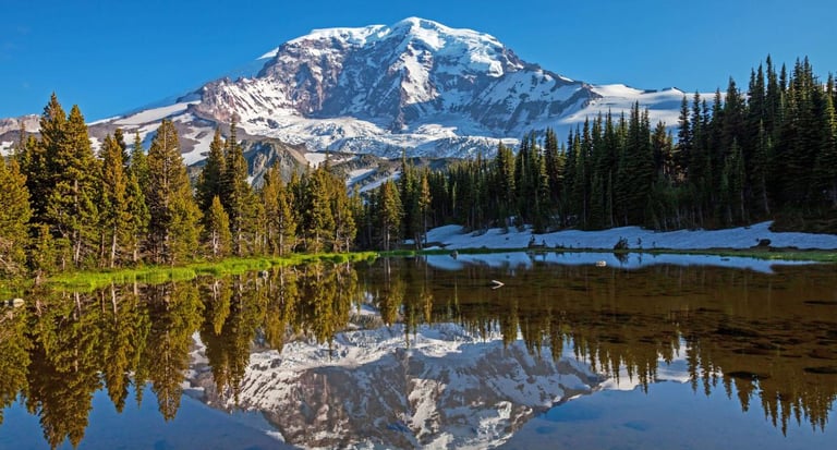 Junk Removal in Graham, Wa.