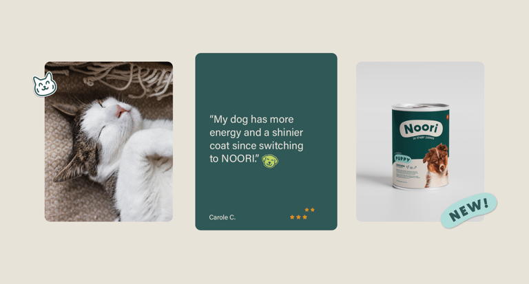 Déclinaison de l'identité visuelle de Noori, marque de petfood par Tuuk studio