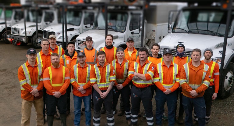 About Precision Tree Services Ltd.