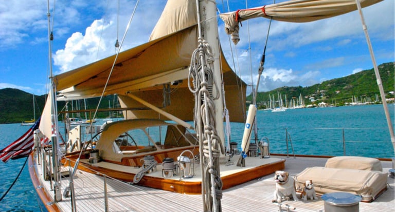 we will help you find the yacht you're looking for