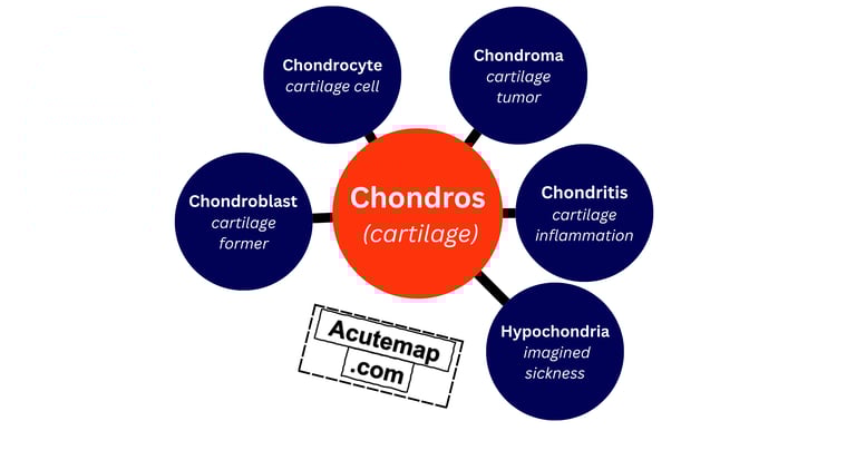 Chondros Root Word Vocabulary SSC UPSC