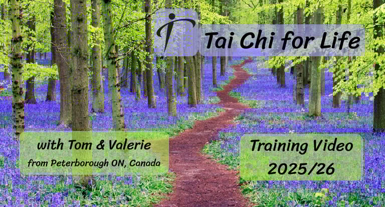 Tai Chi for Life training video title overlay showing a pathway
