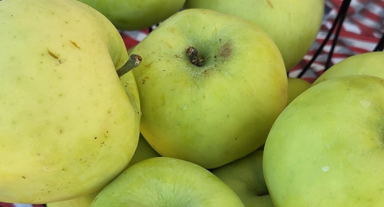 transparent apples