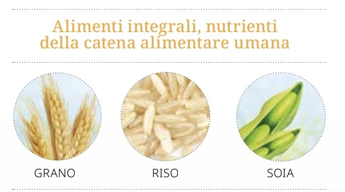 integrazioni integrali