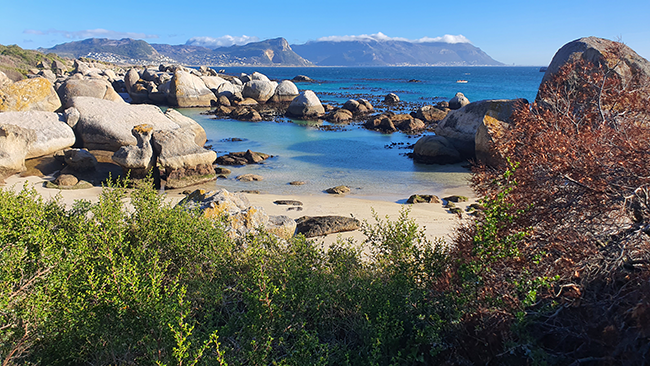 boulders beach with a view of the sea
