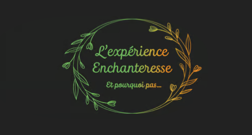 logo des meillleures love room Morbihan en Bretagne, meilleur love gite morbihan