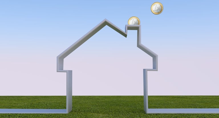Stilisierte Hausdarstellung wo die Euros im Kamin verheizt werden