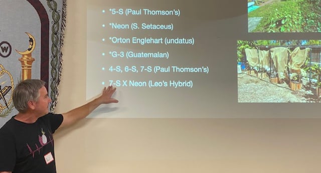 Speaker gestures to a powerpoint presentation being projected on the wall