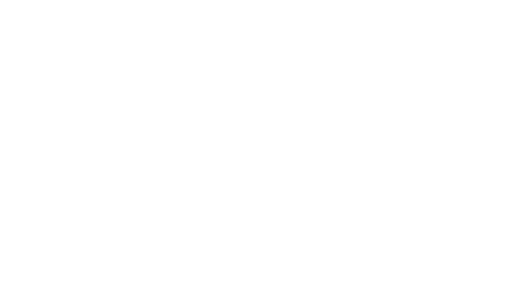 Logo of Perpi Ltd Consulting, a business consulting firm for startups and small businesses