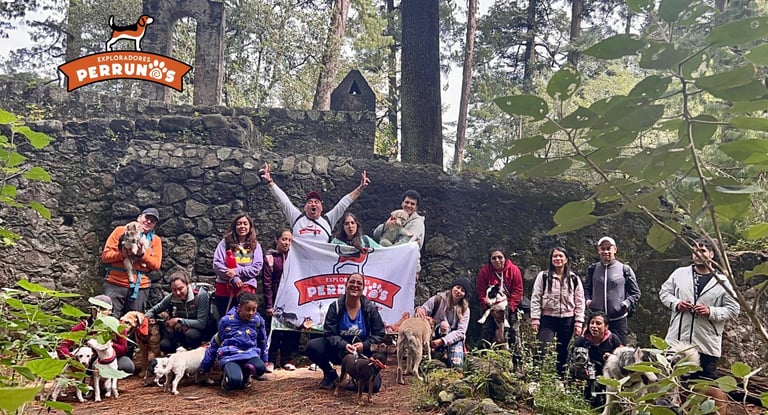 Un grupo de excursionistas y sus perros frente a un muro de piedra en el bosque