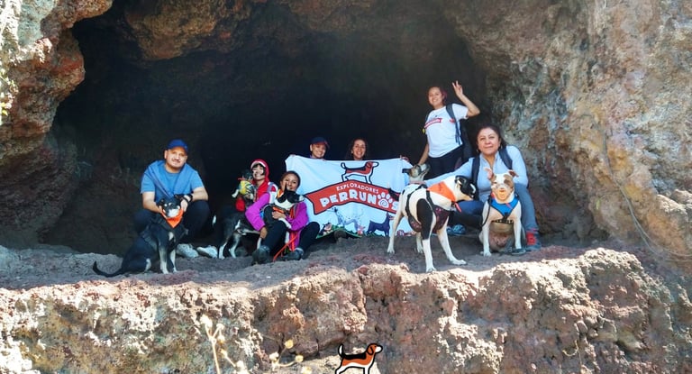 Un grupo de excursionistas y sus perros posan con una pancarta dentro de una cueva rocosa 