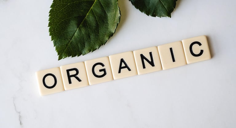 organic and eco-conscious sustainable items, greenwash product alternatives