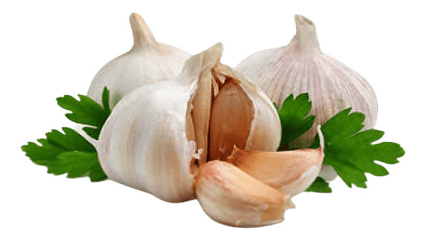 garlic parsley