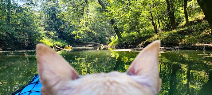 Hixson - Kayak on N. Chickamauga Creek in Greenway Park