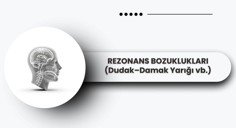 Rezonans ve ses üretimini temsil eden baş profili modeli.