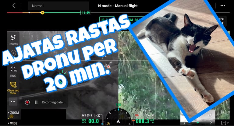 Dingusios katės paieška termoviziniu dronu anksti ryte